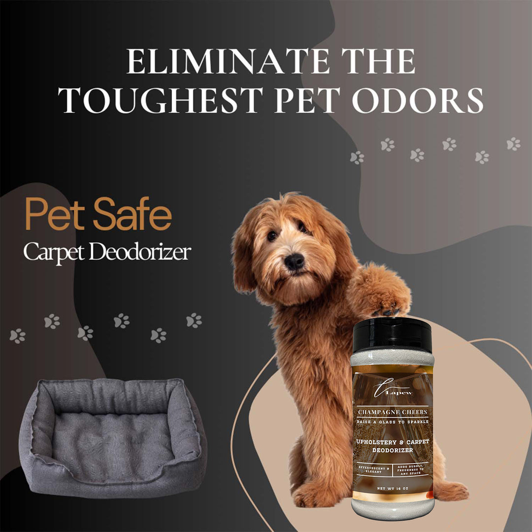 Champagne Toast Upholstery Deodorizer