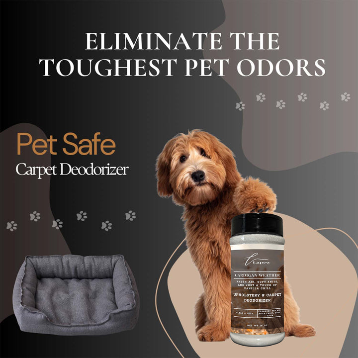 Cardigan Weather Upholstery Deodorizer