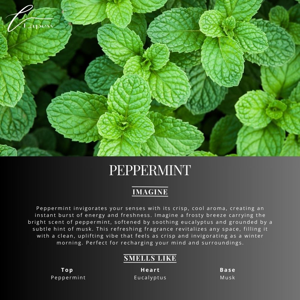 Peppermint Carpet & Upholstery Deodorizer