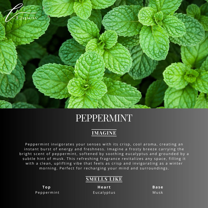 Peppermint Scented Mop Soap