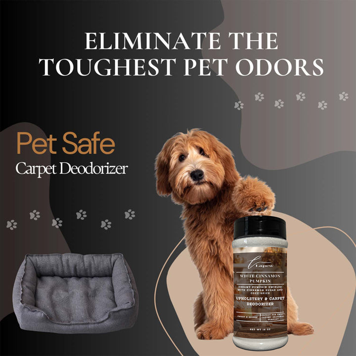 White Cinnamon Pumpkin Upholstery Deodorizer