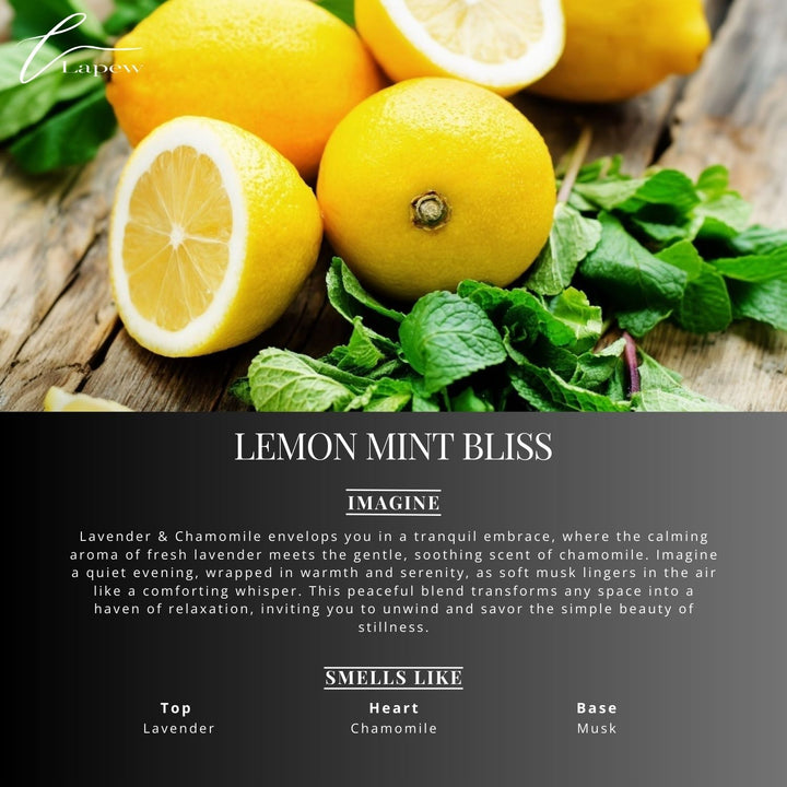 Lemon Mint Bliss Scented Mop Soap