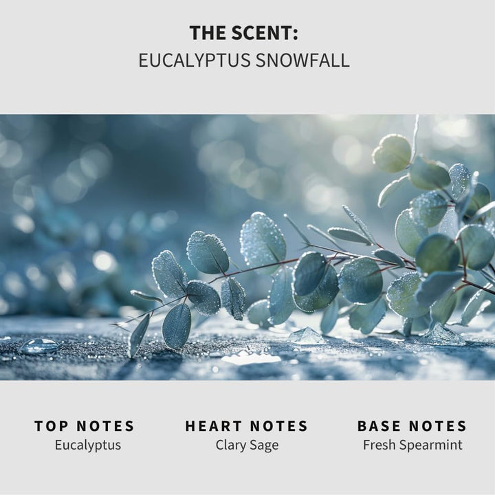 Eucalyptus Snowfall Carpet & Upholstery Deodorizer