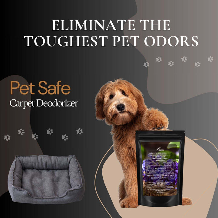 Blue Lavender & Bergamot Carpet & Upholstery Deodorizer