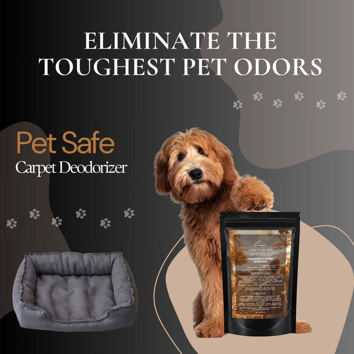 Cardigan Weather (Sweater Weather) Carpet & Upholstery Deodorizer