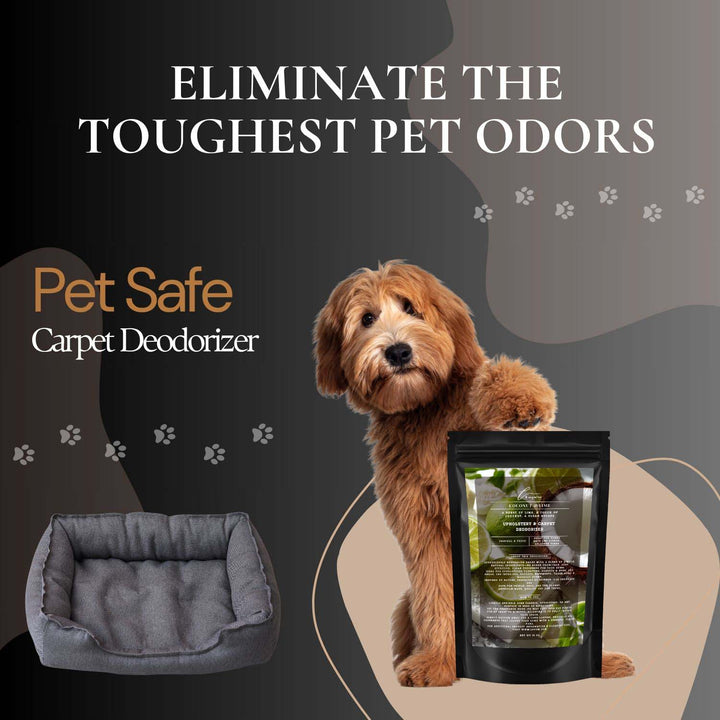 Coconut & Lime (Coconut Lime Verbena) Carpet & Upholstery Deodorizer