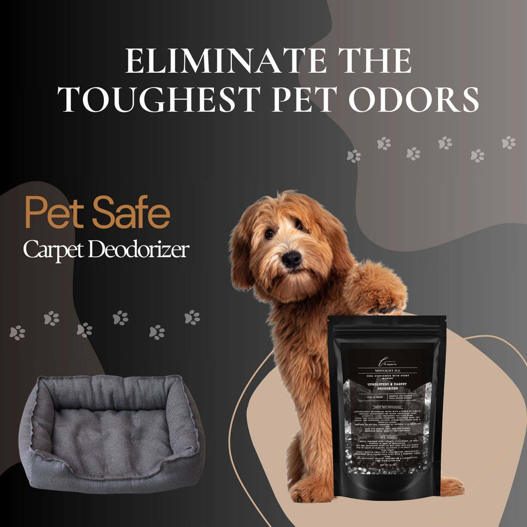 Midnight Ice (Black Ice) Carpet & Upholstery Deodorizer