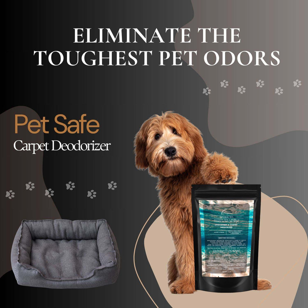 Mineral Sea (Vitamin Sea) Carpet & Upholstery Deodorizer