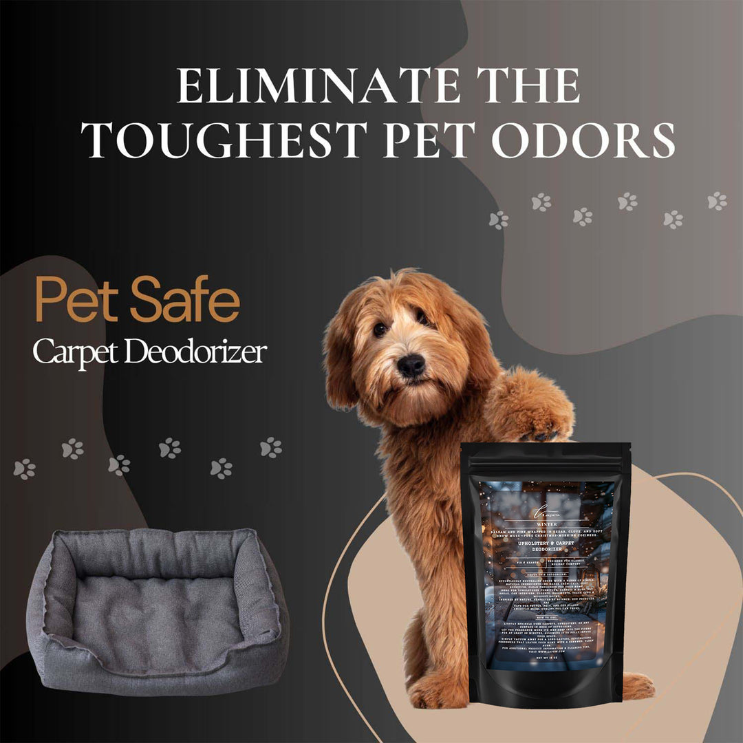 Winter Carpet & Upholstery Deodorizer