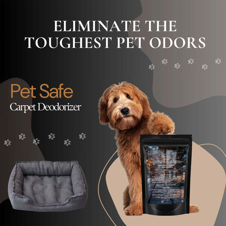 Winter Carpet & Upholstery Deodorizer