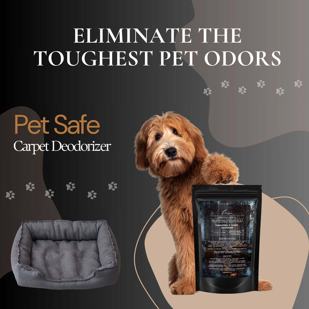 Obsidian Birch Carpet & Upholstery Deodorizer