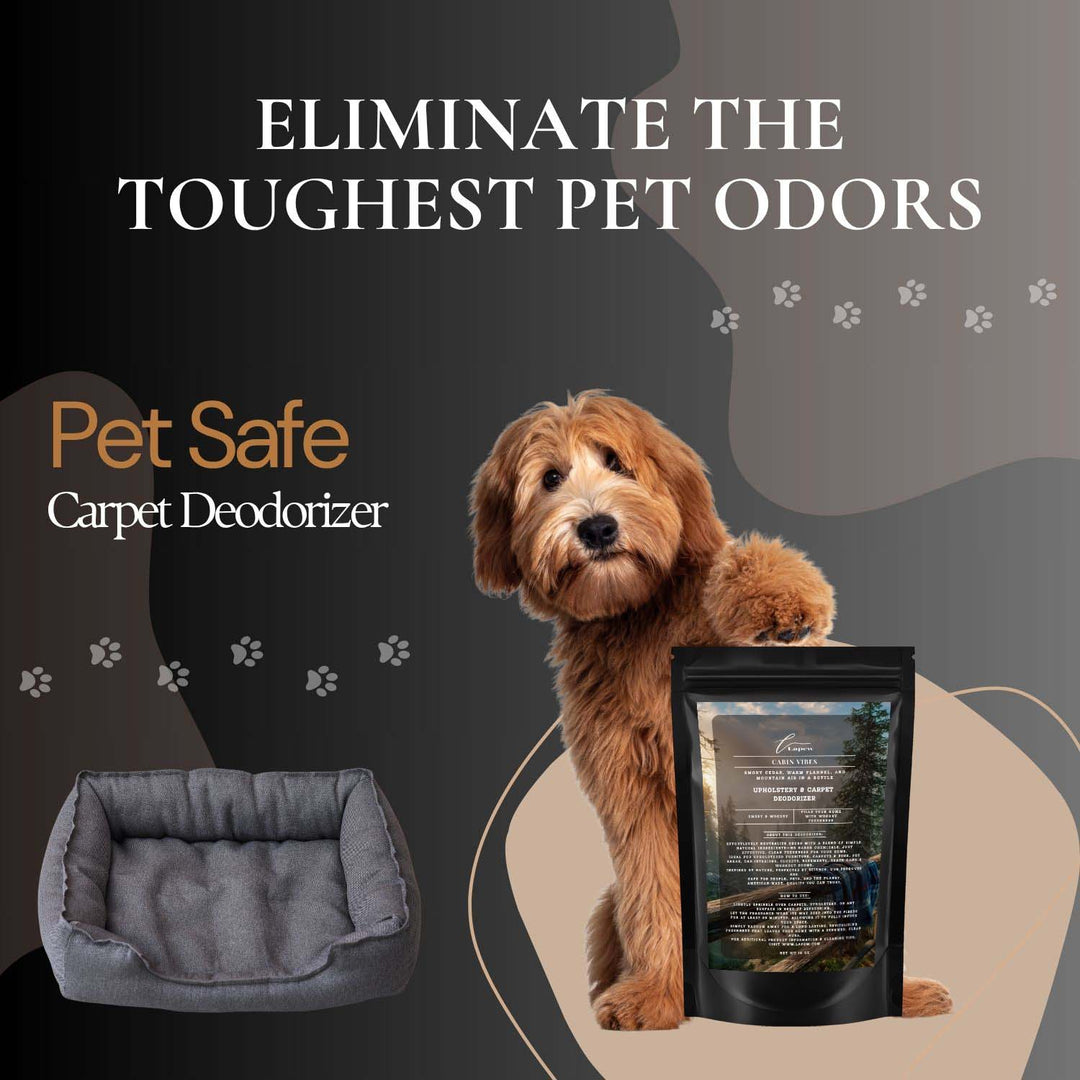 Cabin Vibes (Autumn Woods) Carpet & Upholstery Deodorizer