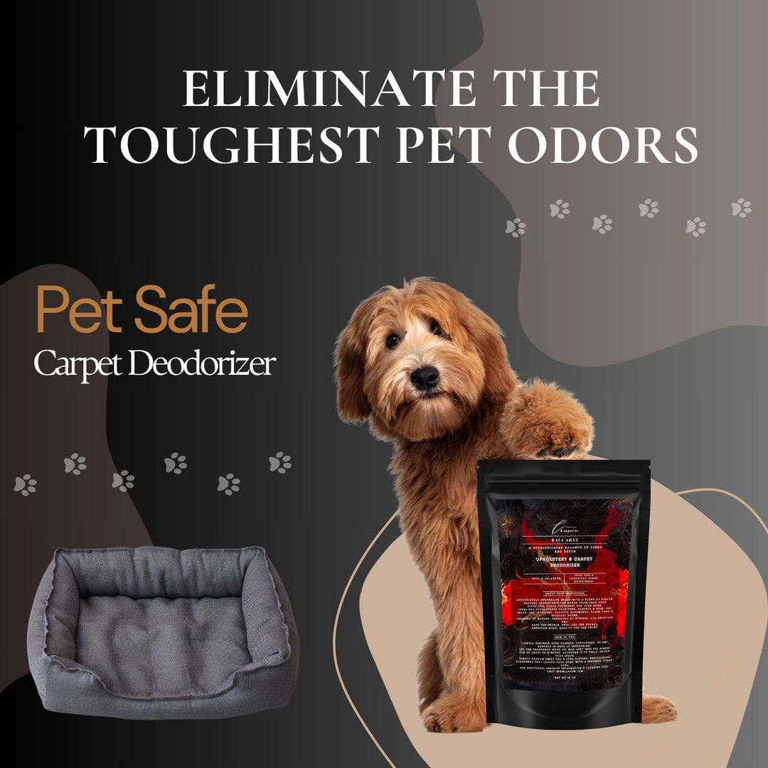Baccarat Rouge Carpet & Upholstery Deodorizer
