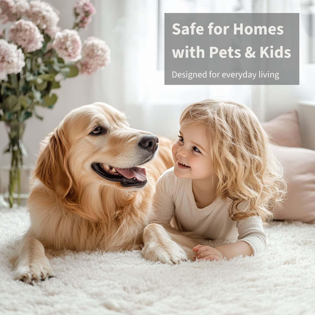 Sage & Stone Carpet & Upholstery Deodorizer