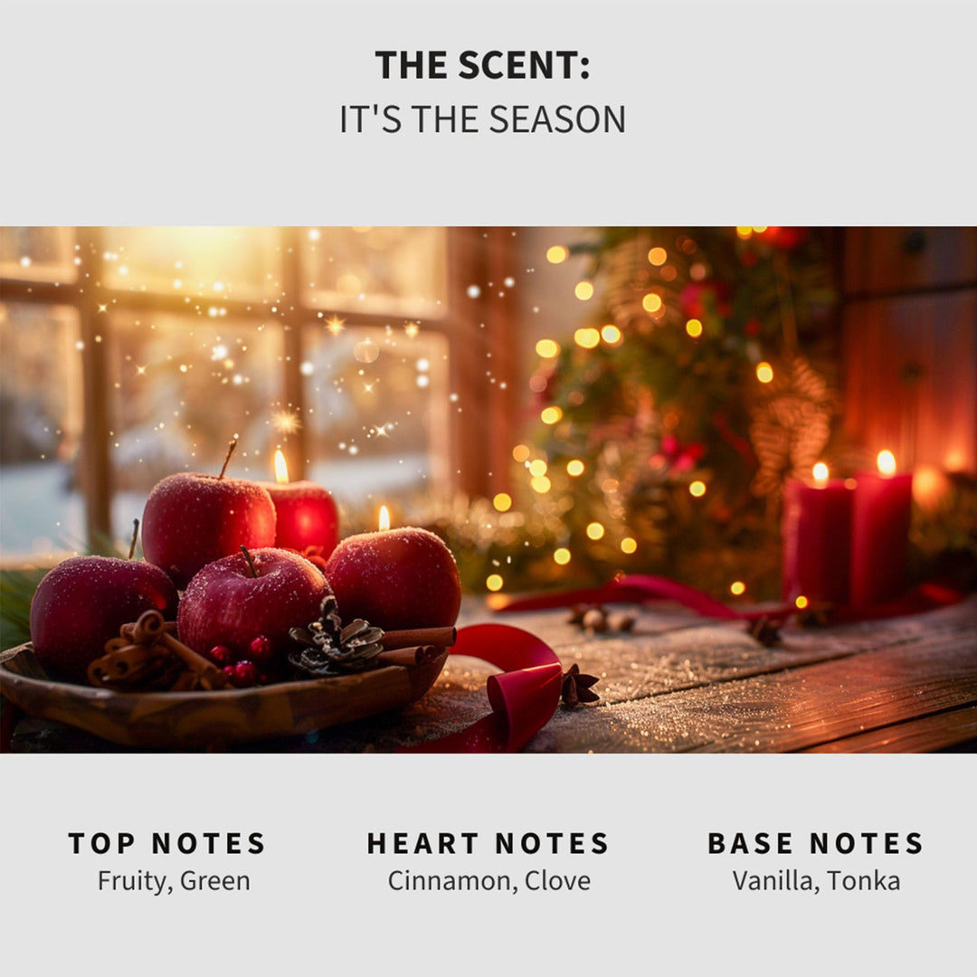 It's The Season Carpet & Upholstery Deodorizer