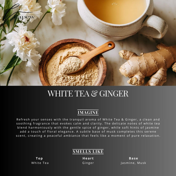 Lapew White Tea & Ginger Waterless Diffuser Oil | Fragrance Oil for Nebulizer & Cold Air Diffusers | Scented Home Oil | 0.34 fl oz