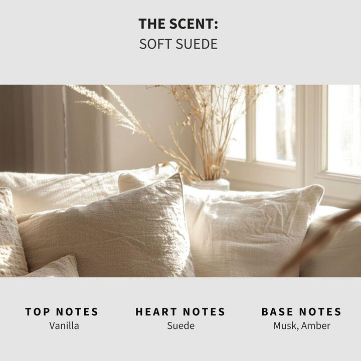 Soft Suede Carpet & Upholstery Deodorizer