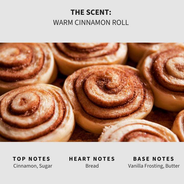 Warm Cinnamon Roll Carpet & Upholstery Deodorizer