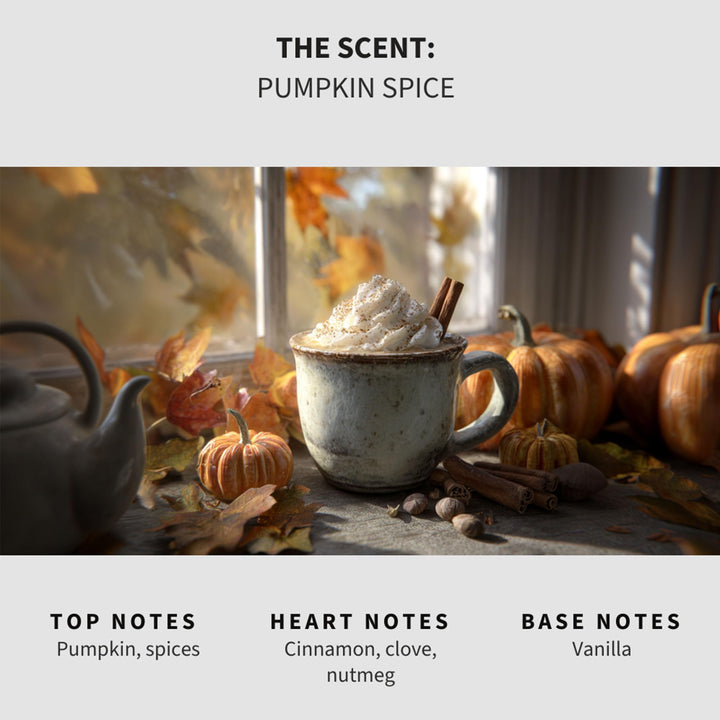 Pumpkin Spice Carpet & Upholstery Deodorizer