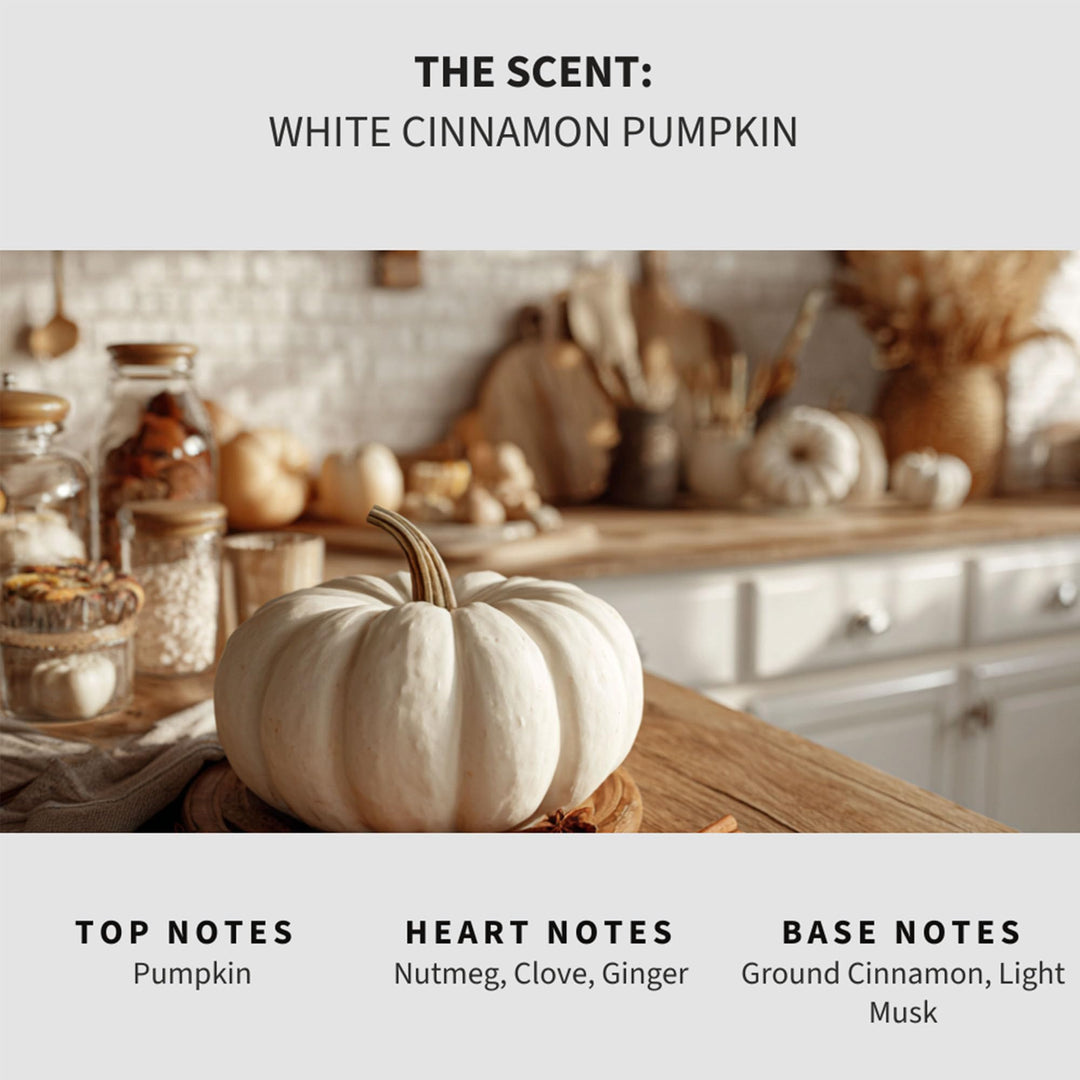 White Cinnamon Pumpkin (White Pumpkin) Carpet & Upholstery Deodorizer