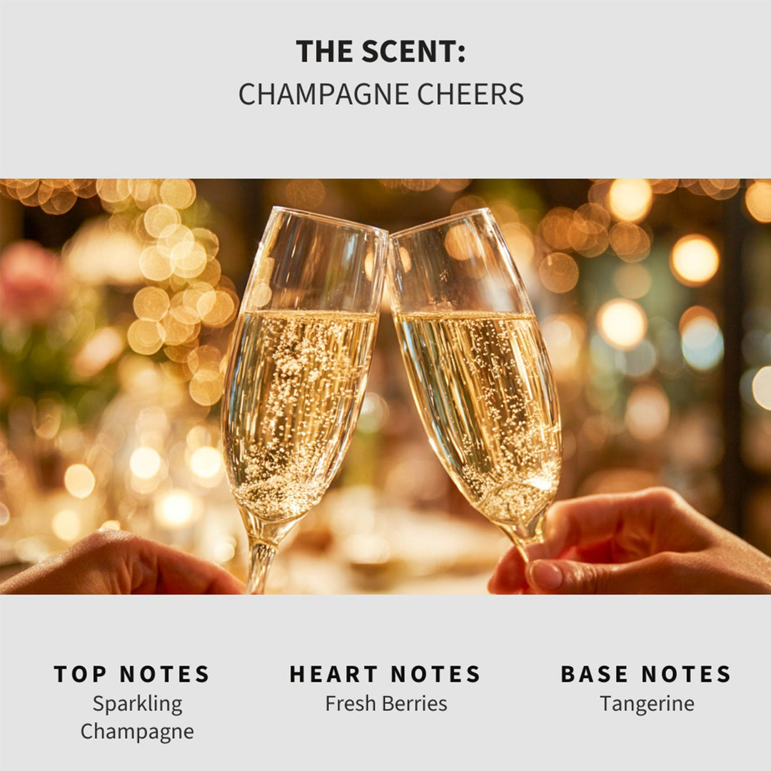 Champagne Cheers (Champagne Toast) Carpet & Upholstery Deodorizer