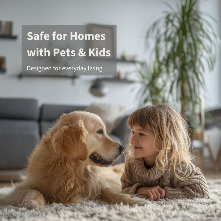 Spellbound (Love Spell) Carpet & Upholstery Deodorizer