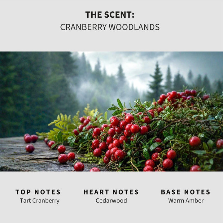 Cranberry Woodlands Carpet & Upholstery Deodorizer
