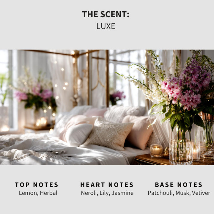 Luxe (Diva) Carpet & Upholstery Deodorizer
