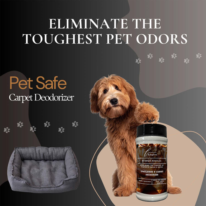 Pumpkin Waffles Upholstery Deodorizer