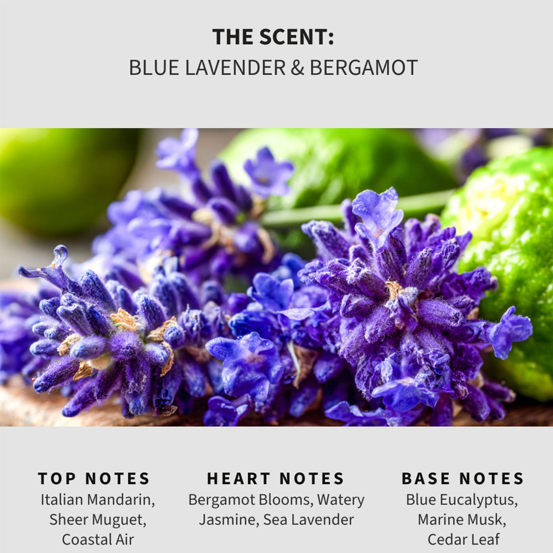 Blue Lavender & Bergamot Carpet & Upholstery Deodorizer