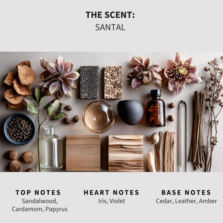 Santal Carpet & Upholstery Deodorizer