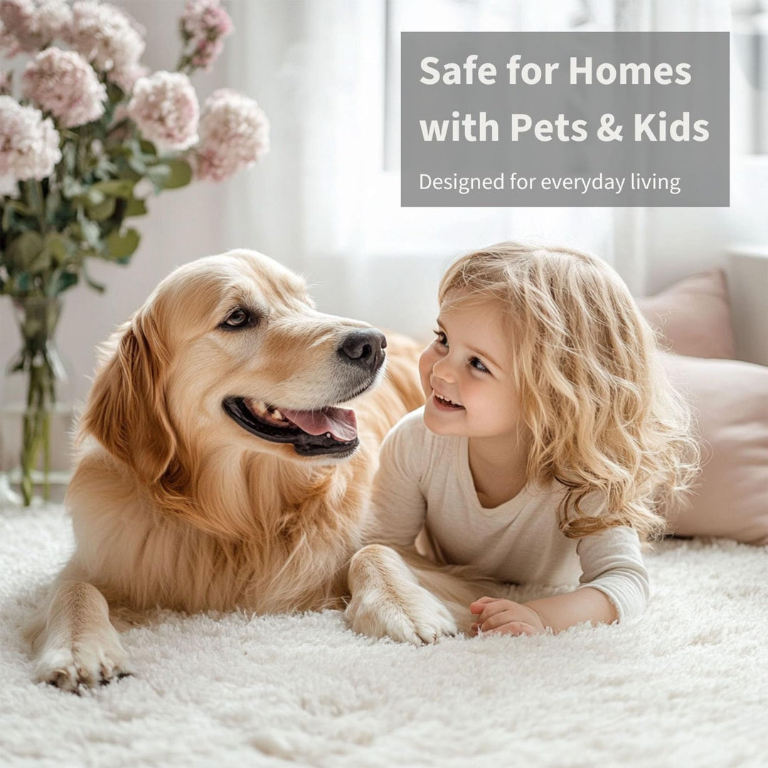 Orange Carpet & Upholstery Deodorizer