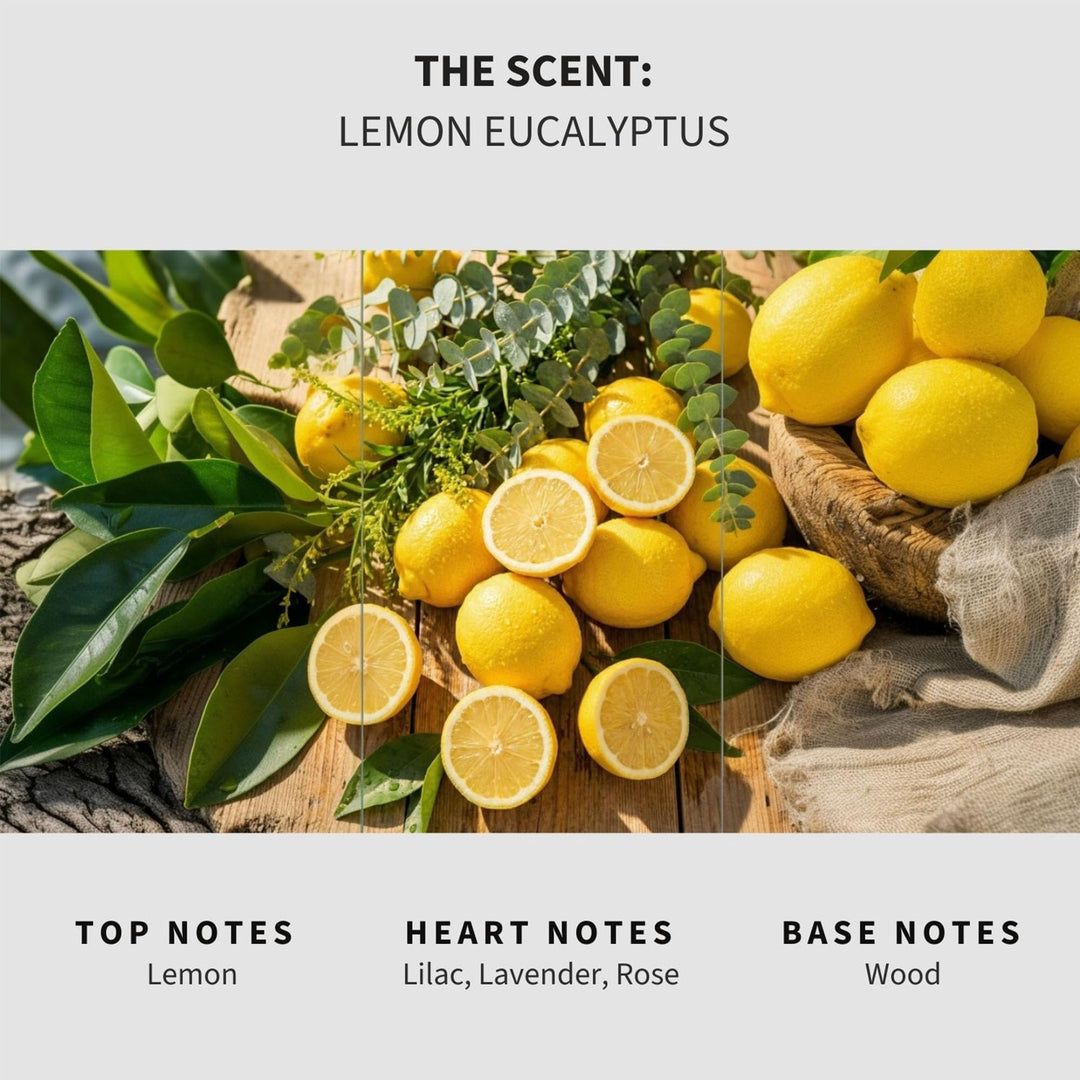 Lemon & Eucalyptus Carpet & Upholstery Deodorizer