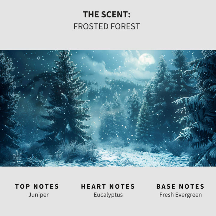 Frosted Forest Carpet & Upholstery Deodorizer