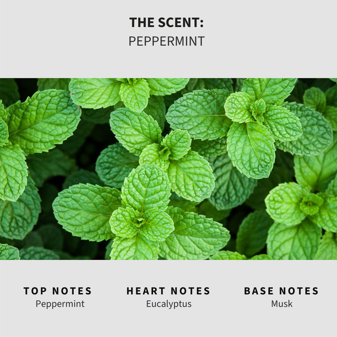 Peppermint Carpet & Upholstery Deodorizer