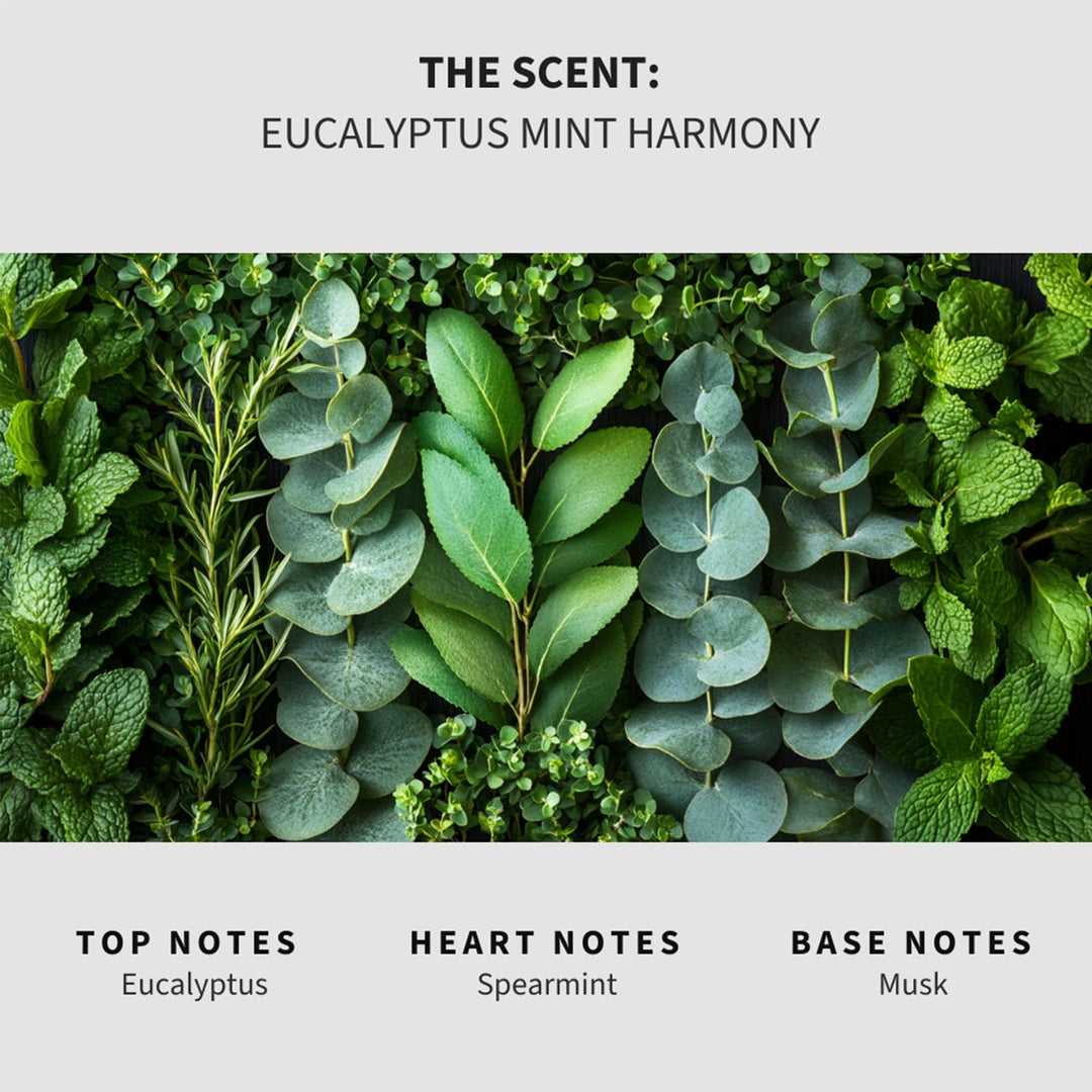 Eucalyptus Mint Harmony (Eucalyptus Spearmint) Carpet & Upholstery Deodorizer