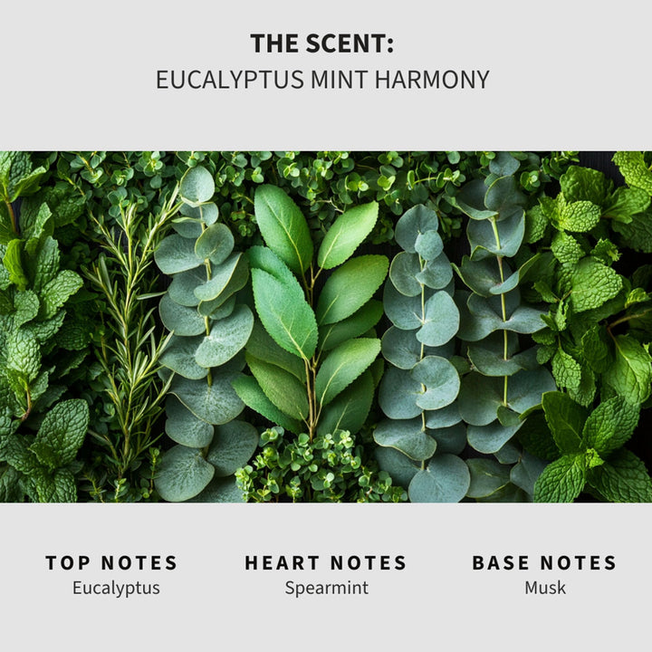 Eucalyptus Mint Harmony (Eucalyptus Spearmint) Carpet & Upholstery Deodorizer