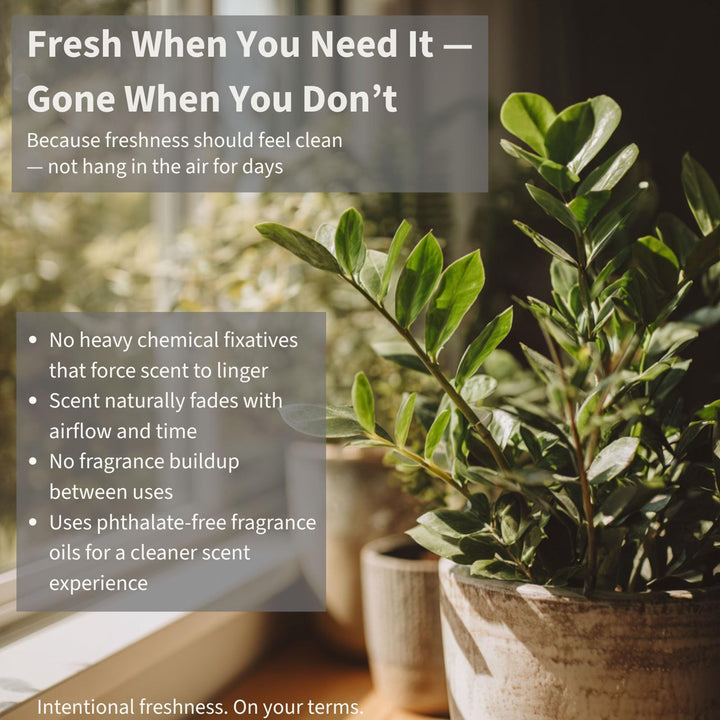 Sage & Stone Carpet & Upholstery Deodorizer