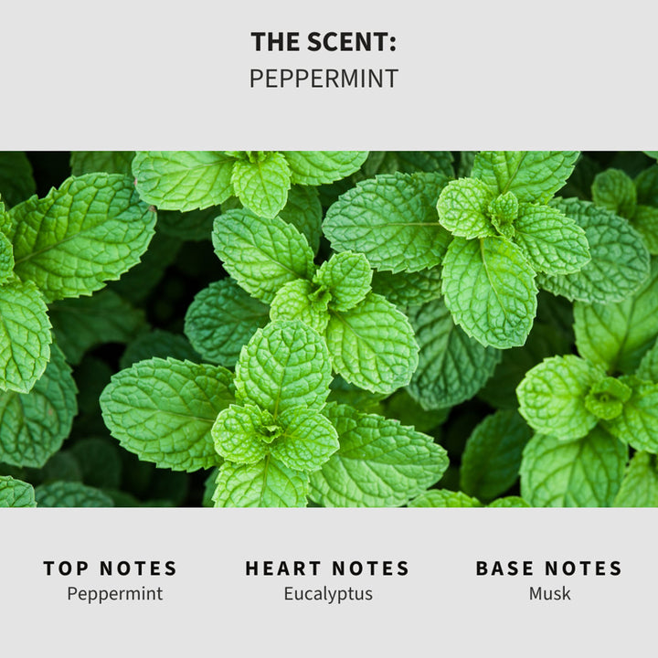 Peppermint Scented Mop Soap