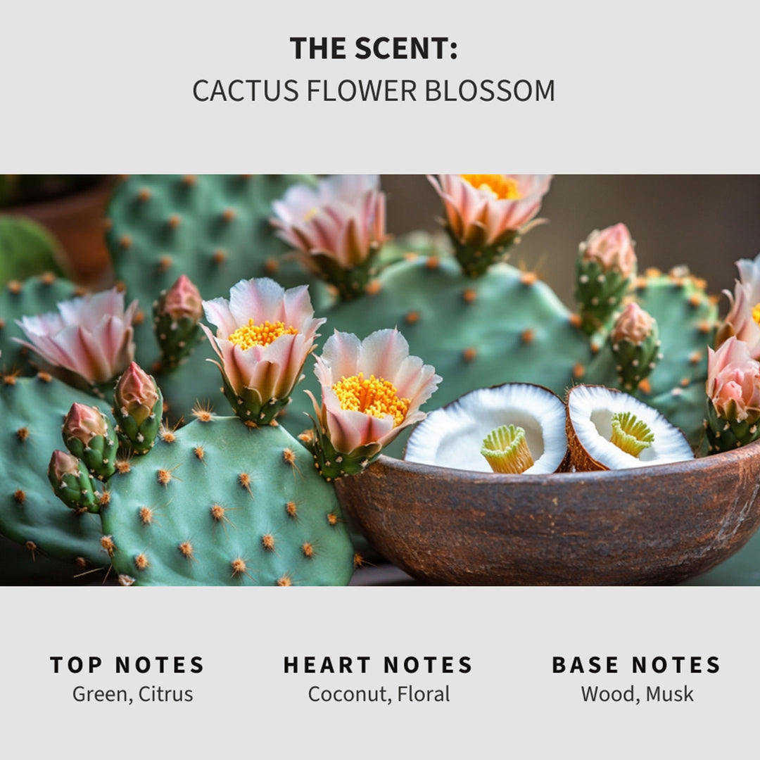 Cactus Flower Blossom (Baja Cactus Blossom) Scented Mop Soap