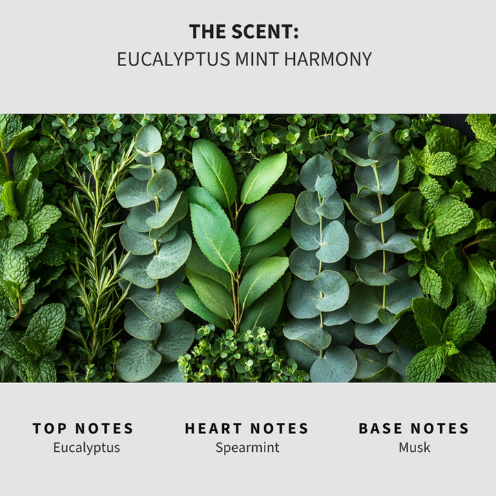 Eucalyptus Mint Harmony (Eucalyptus & Spearmint) Mop Soap