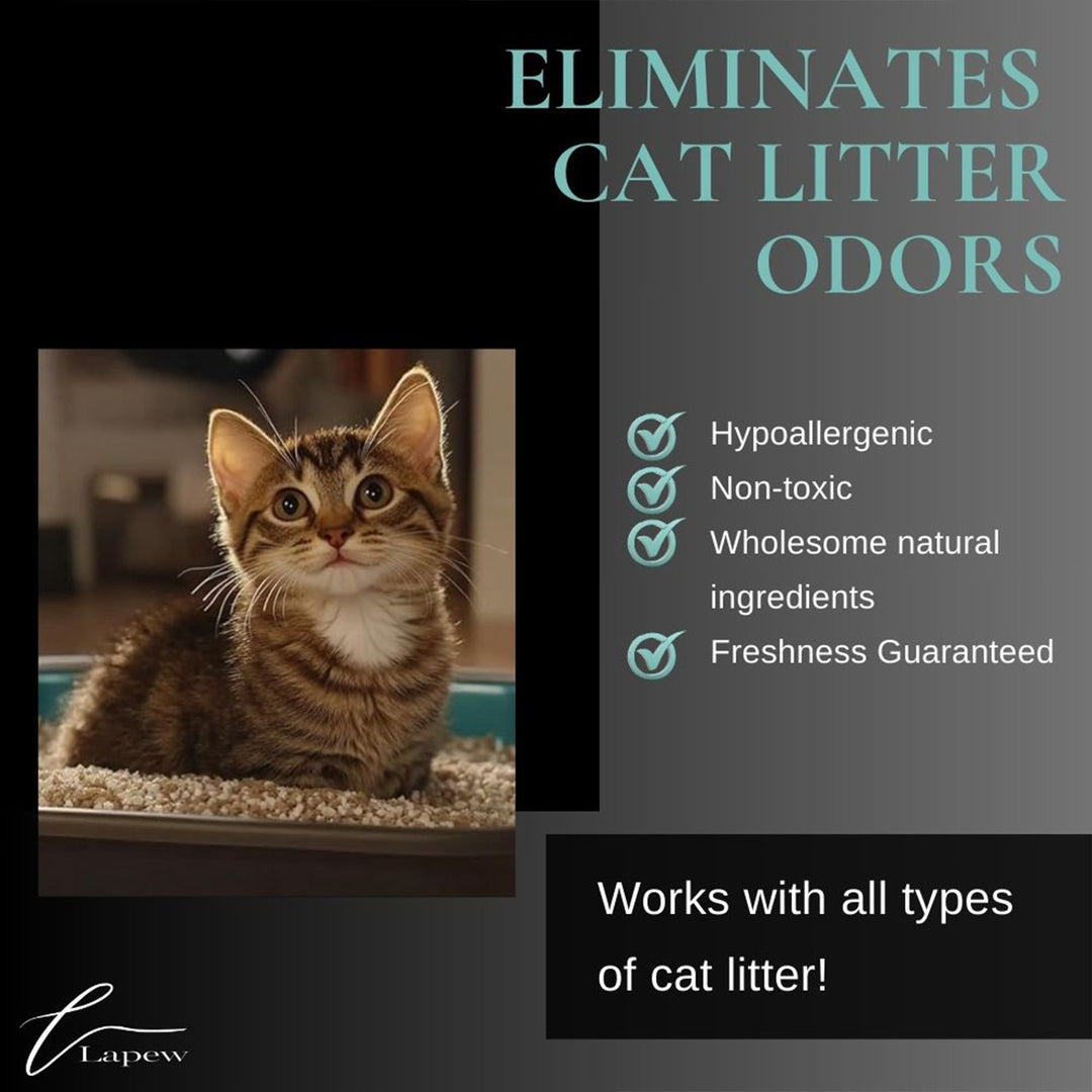 It's The Season Carpet & Upholstery Deodorizer