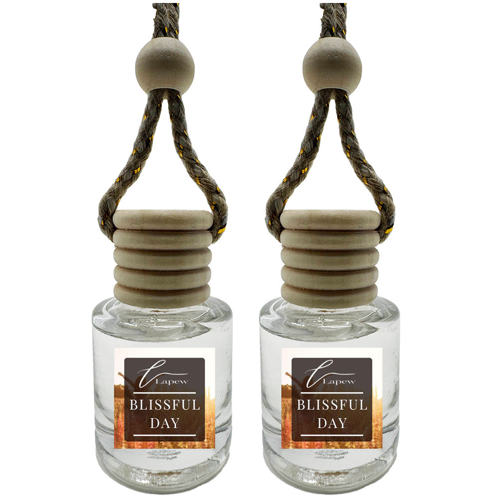 Hang-Anywhere Diffuser for Car, Bathroom & Closets
