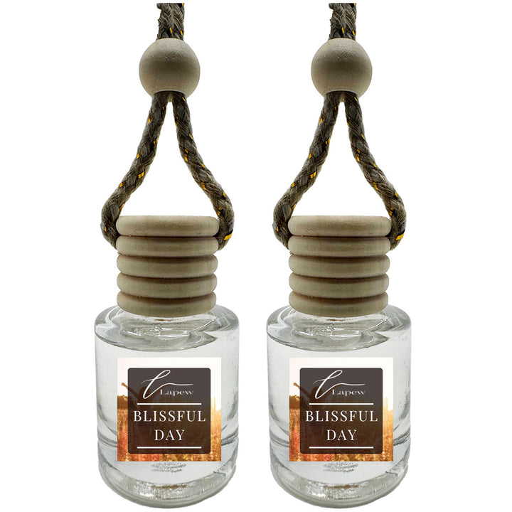 Hang-Anywhere Diffuser for Car, Bathroom & Closets