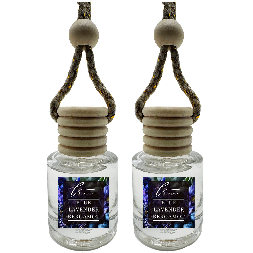 Hang-Anywhere Diffuser for Car, Bathroom & Closets