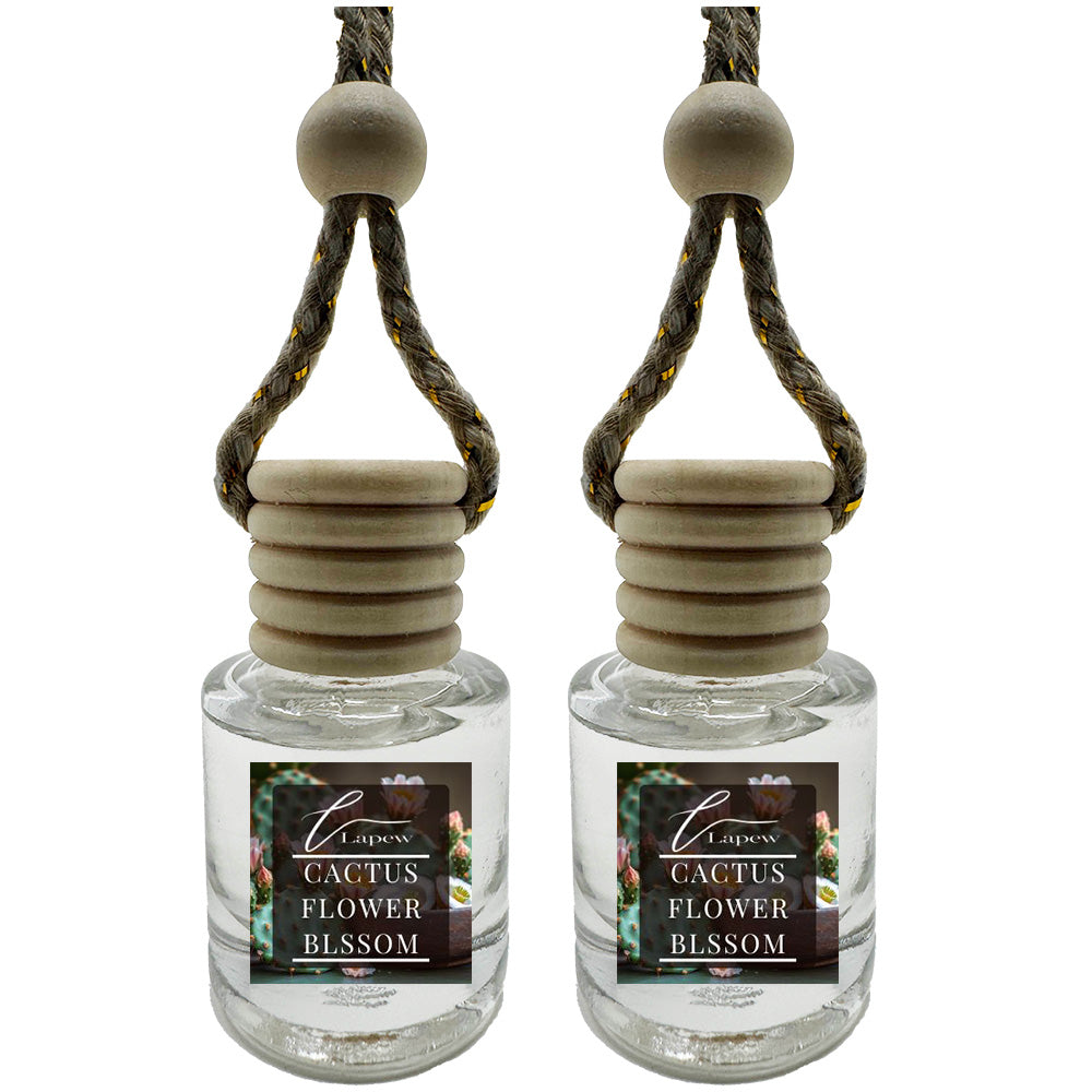 Hang-Anywhere Diffuser for Car, Bathroom & Closets