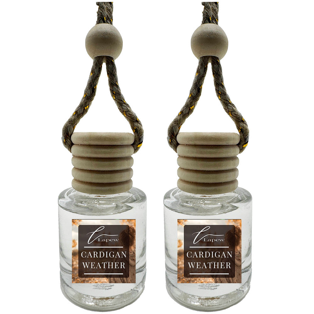 Hang-Anywhere Diffuser for Car, Bathroom & Closets