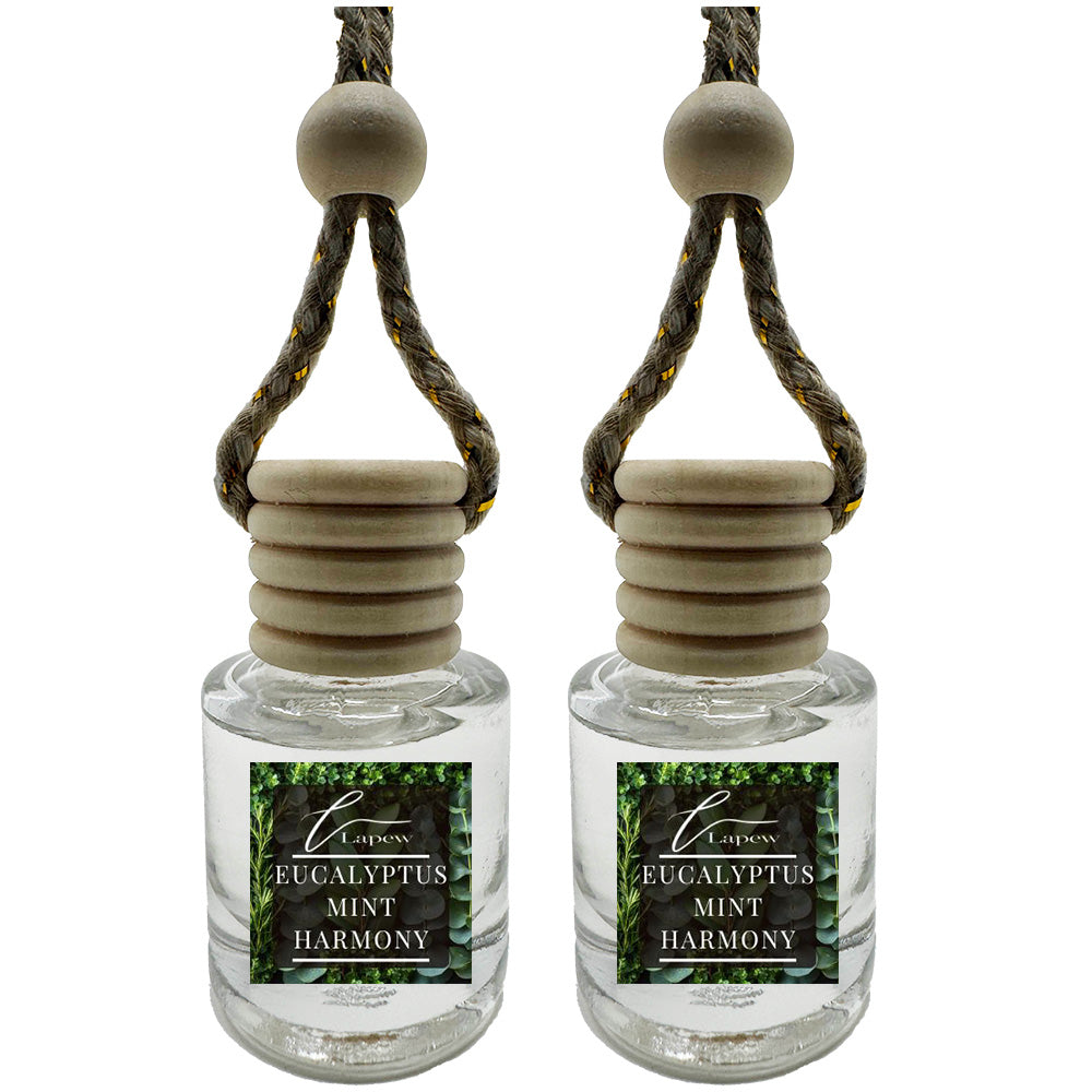 Hang-Anywhere Diffuser for Car, Bathroom & Closets