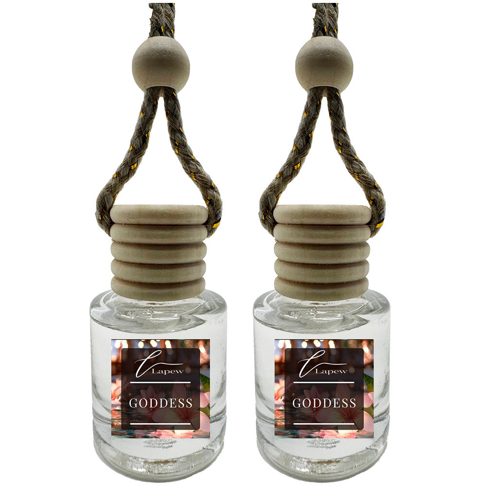Hang-Anywhere Diffuser for Car, Bathroom & Closets