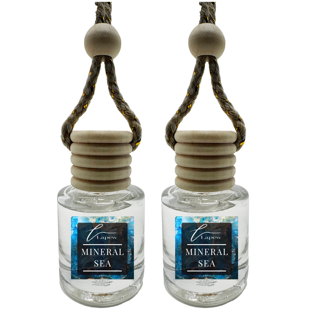 Hang-Anywhere Diffuser for Car, Bathroom & Closets